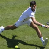 Vimbldon počinje u ponedeljak, titule brane Đoković i Kerber 12