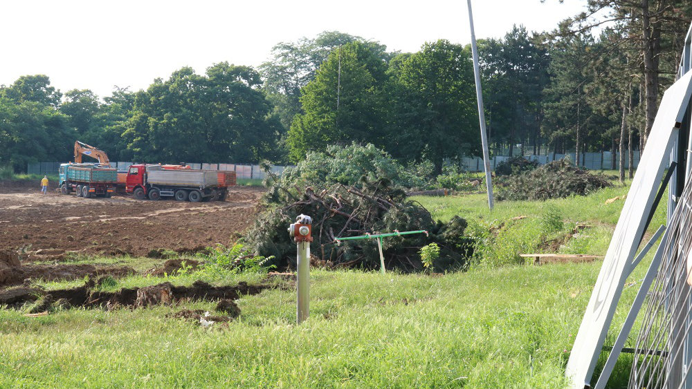 N1: Posečena stabla s Košutnjaka prodata, kupac tvrdi da je odbornik SNS 1