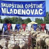 Kazna zbog objave slika ovaca na Fejsbuku 4