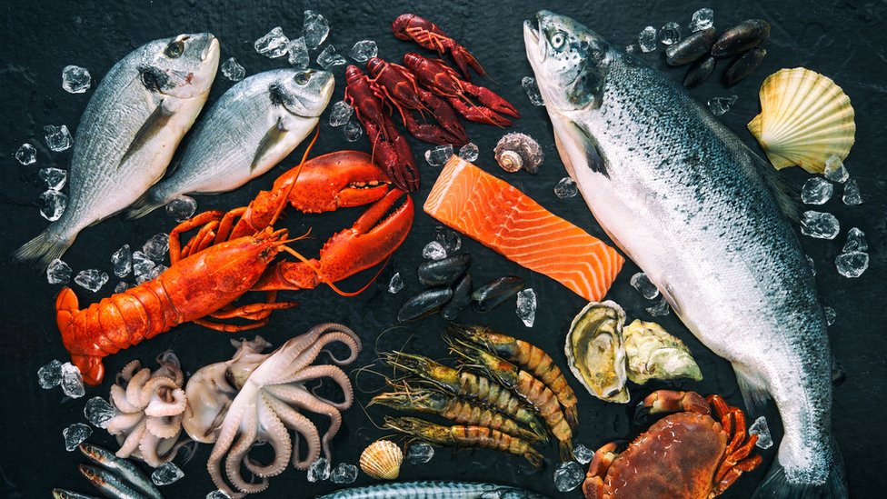 riba, jastog, kraba, ostrige, led