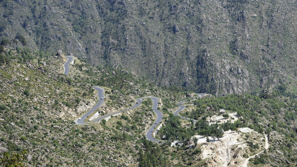 Klimatske promene i sadnja drveća: Najveći svetski poduhvati 2 Zasađeno drveće