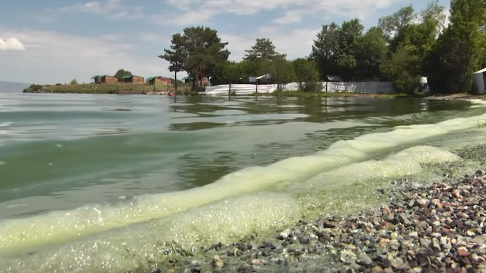 Green algae tide on Armenia's Lake Sevan, July 2019