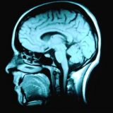 Neuronauka: Istine i zablude o neuronauci 7