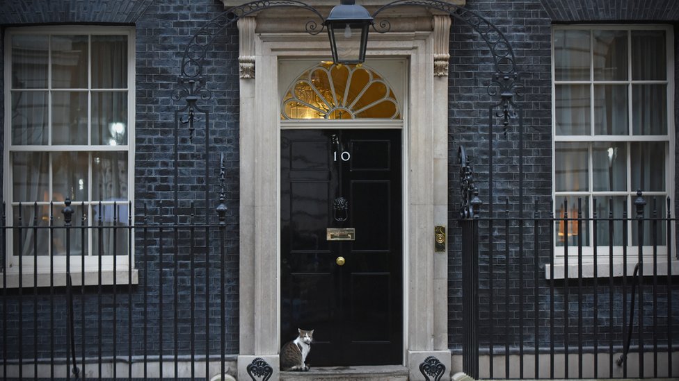 Boris Džonson je novi stanar u Dauning strit broj 10 - ovo je 10 zanimljivosti o tom mestu 5 Mačak Lari ispred Dauning strita broj 10.