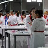 "Sloga": Subvencionisanje stranih investicija dostiglo vrhunac iracionalnosti 7