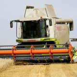 Pšenica manje rodila zbog sušne zime 8