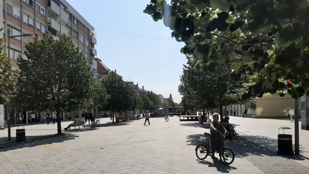 ZSF: U postupku promene naziva ulica građani moraju biti konsultovani 1