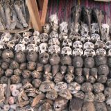 Togo: Ponuda na pijaci fetiša 7