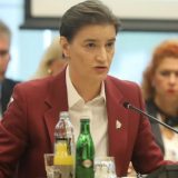 Brnabić: Konstruktivan rad Radne grupe i Vlade u izradi Medijske strategije 8