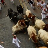 Pet osoba povređeno u trci sa bikovima u Španiji 1