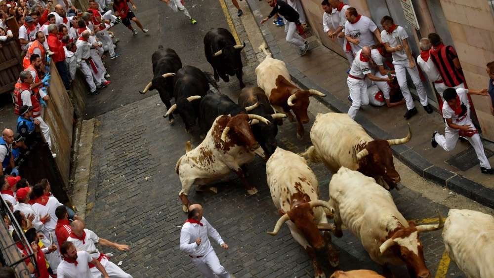Pet osoba povređeno u trci sa bikovima u Španiji 1