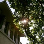 Unesko upisao osam dela američkog arhitekte Frenka Lojda Rajta na listu svetske baštine 4