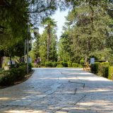 Tirana: Lišće i prisluškivanje 13