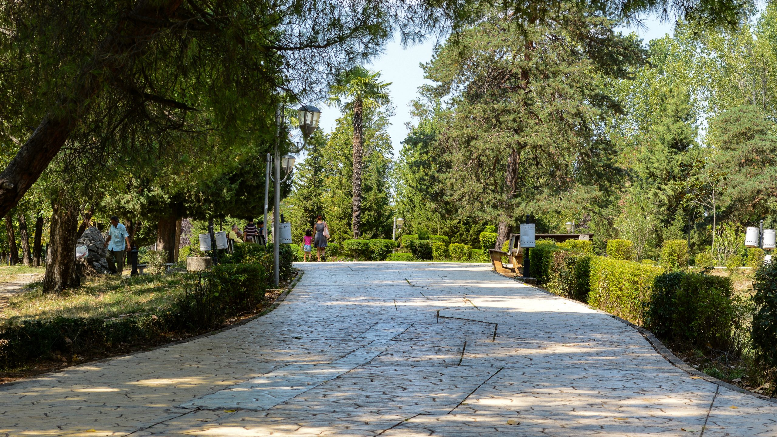 Tirana: Lišće i prisluškivanje 1