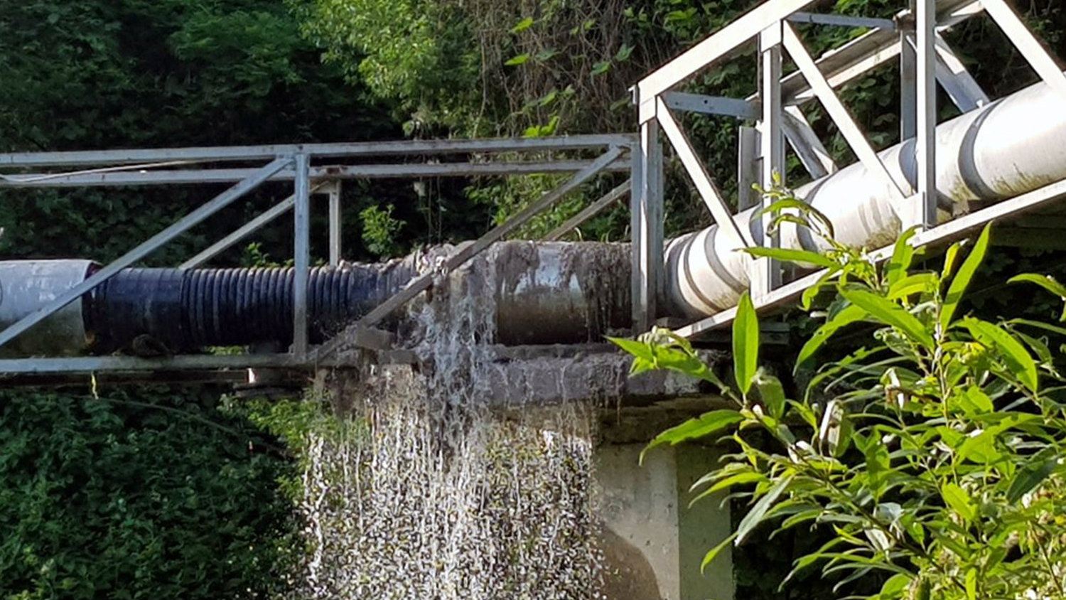 Inicijativa Užičke odbrambene lige: Rešiti problem zagađenja Đetinje 1