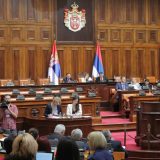 Videnović: REM je čuvar Vučićevih interesa 7