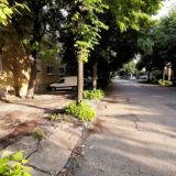 Diskusije zbog rekonstrukcija ulica u Zaječaru 6