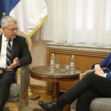 Brnabić i novi ambasador Finske: Potrebno digitalizovati sve nivoe obrazovnog sistema 6