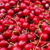 Berba višanja u Merošini pri kraju: Rod prepolovljen, ali otkupna cena dostigla 300 dinara po kilogramu 2