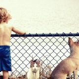 Zašto su psi slični deci? 6