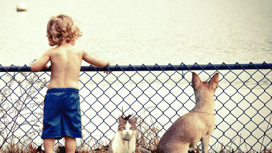 Zašto su psi slični deci? 1