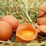 Bosni i Hercegovini odobren izvoz jaja u EU 7