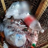 Na autobuskom stajalištu u Zaječaru pronađen opasan medicinski otpad 10