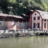 Manifestacija "Tesla na Đetinji" 10. jula 12