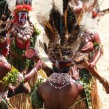 Papua Nova Gvineja: Svinje kao bogatstvo 9