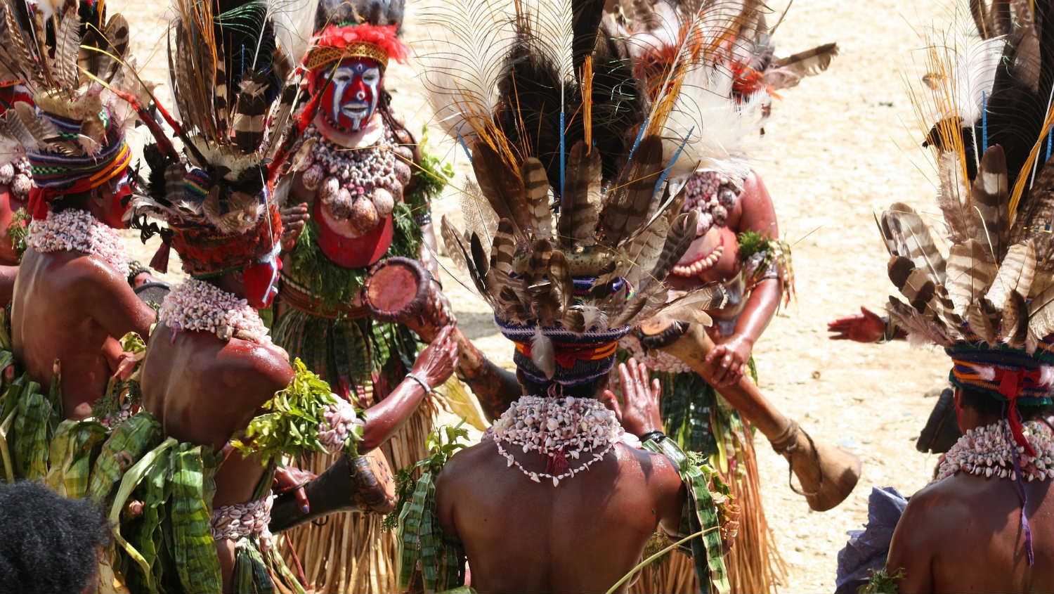 Papua Nova Gvineja: Svinje kao bogatstvo 1