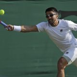 Tipsarević na tribini SNS: Da vidiš koliko je u Srbiji dobro, povedem te u Brazil ili Indiju 8