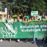 Građani zatražili sastanak sa ministarkom Mihajlović zbog seče stabala na Košutnjaku 15