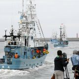 U Japanu posle 30 godina zabrane ponovo počeo komercijalni lov na kitove 1