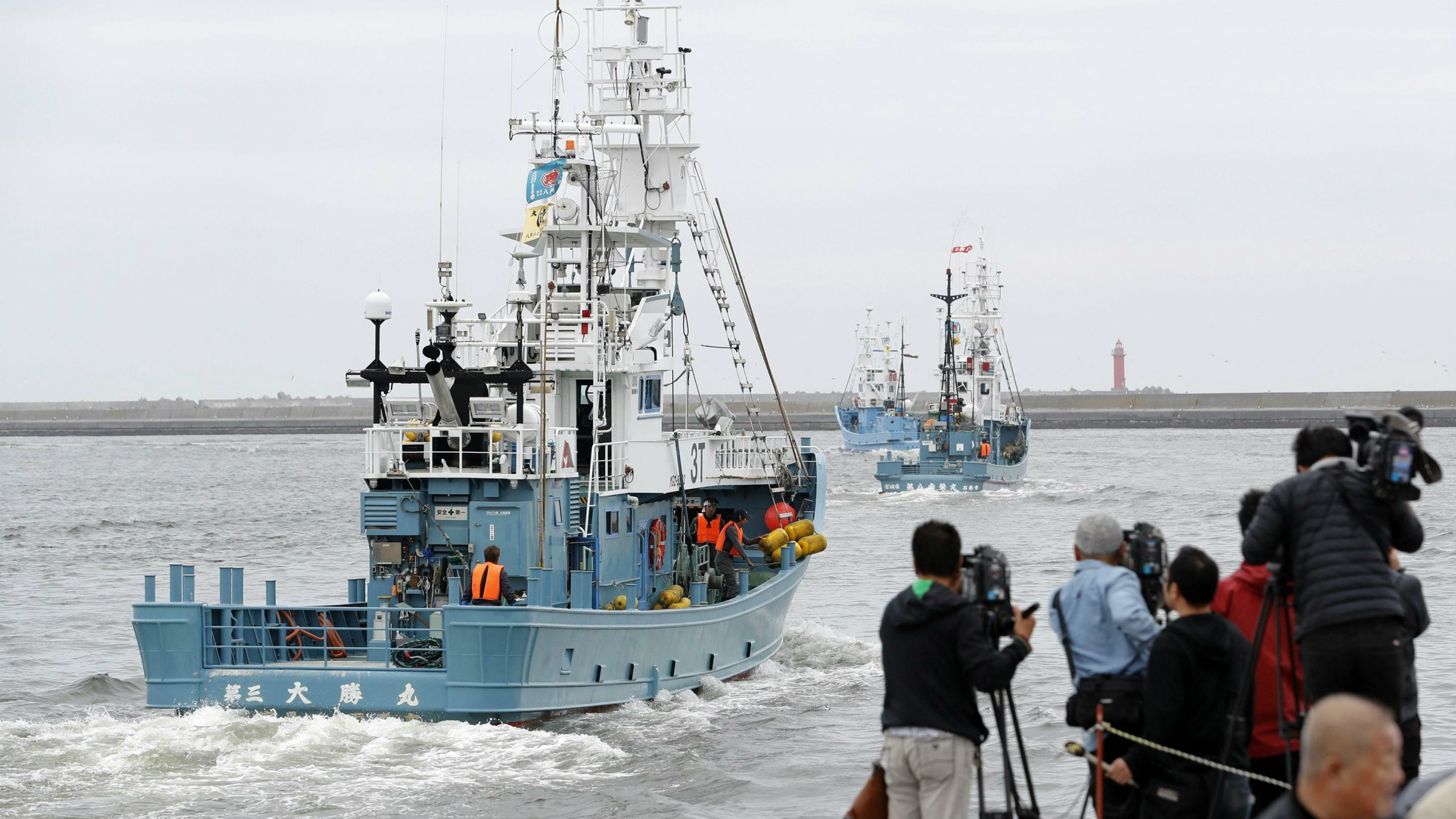 U Japanu posle 30 godina zabrane ponovo počeo komercijalni lov na kitove 1