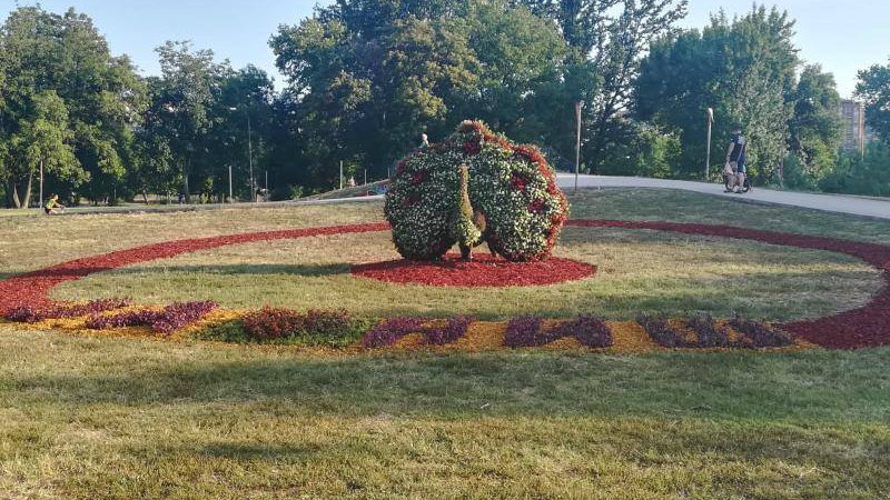 Papreni cvetni paun u niškom parku? 1