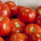 Kosovska policija zaplenila 600 kilograma paradajza 12