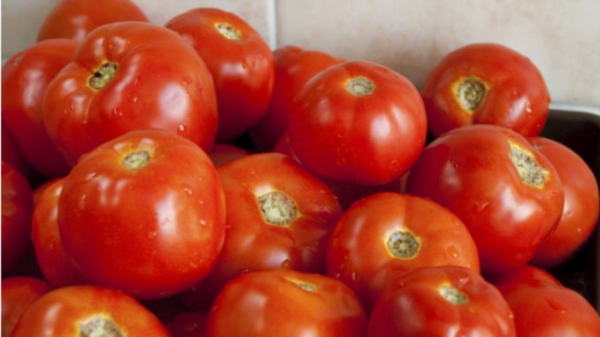 Kosovska policija zaplenila 600 kilograma paradajza 1