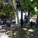 Paraolimpijske igre, prvi put u Smederevu 12