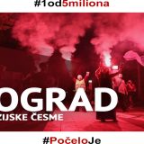 Protest 1 od 5 miliona: Stop lažnim diplomama i lažnoj policiji 5
