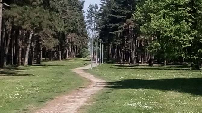 Letnje školice za mlađe Šapčane: Od istorije do elektronike 1