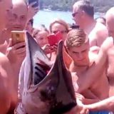 Panika na plaži Jaz, kupači mislili da je ajkula (VIDEO) 14