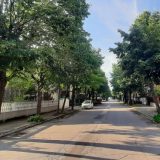 Zaječar: Referendum o rekonstrukciji i radovima 3