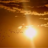 Sunčevo zračenje - činjenice na koje treba obratiti pažnju 9