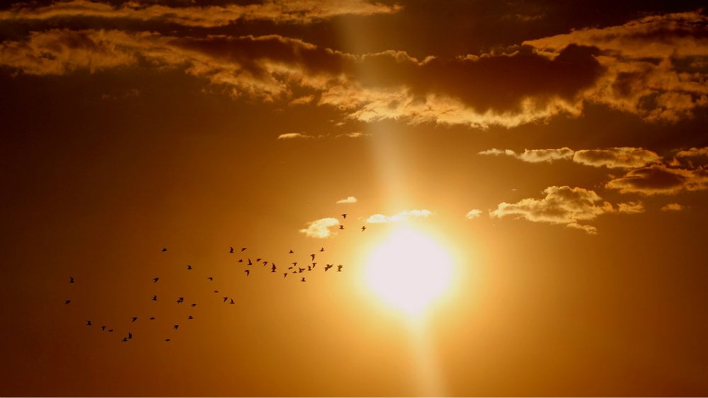 Sunčevo zračenje - činjenice na koje treba obratiti pažnju 1