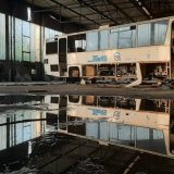 "Timas": Gigant koga više nema 1