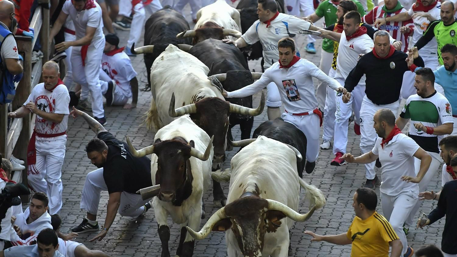 Četvoro povređeno u trci s bikovima u Pamploni 1