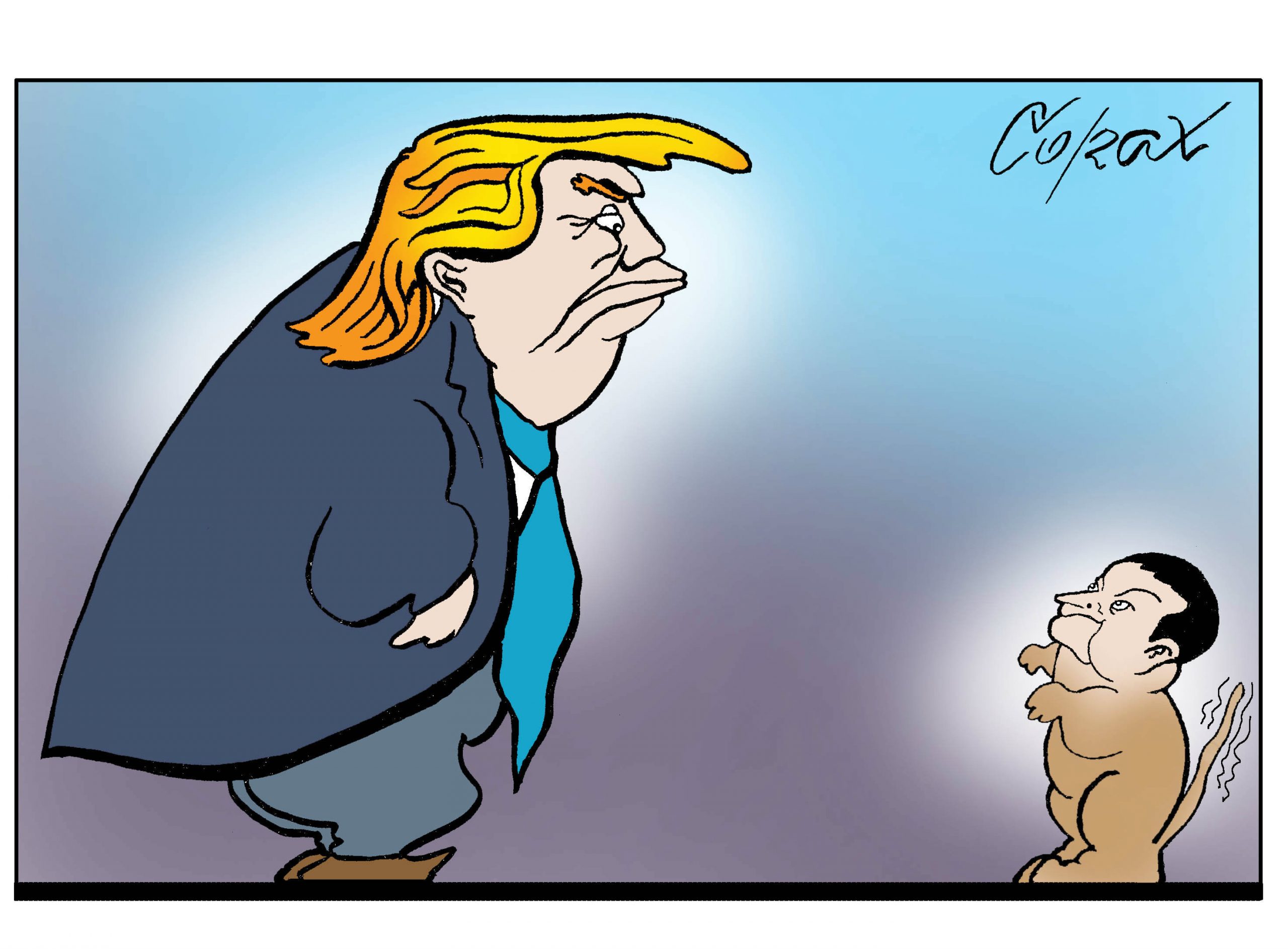 Corax 15