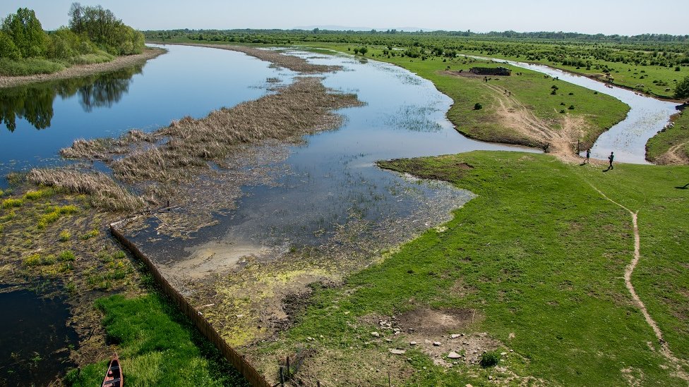 Koliko je priroda Srbije zaštićena 2 Zasavica