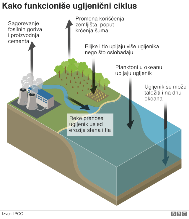 Biljna ishrana može da se bori protiv klimatskih promena, tvrde UN 6 Grafika 2