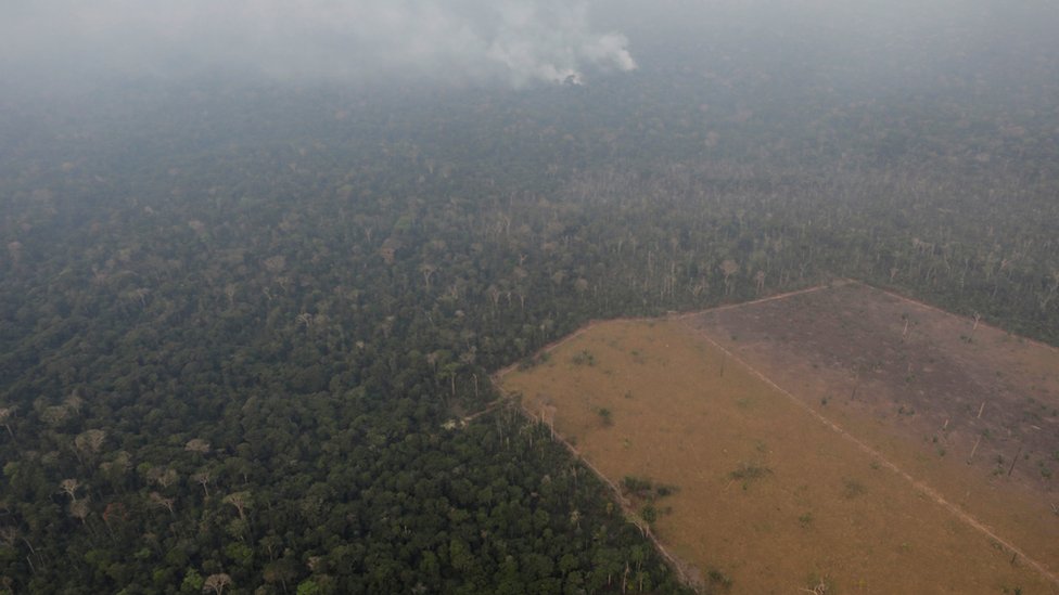 Aerial picture of the Amazons with a deforested area